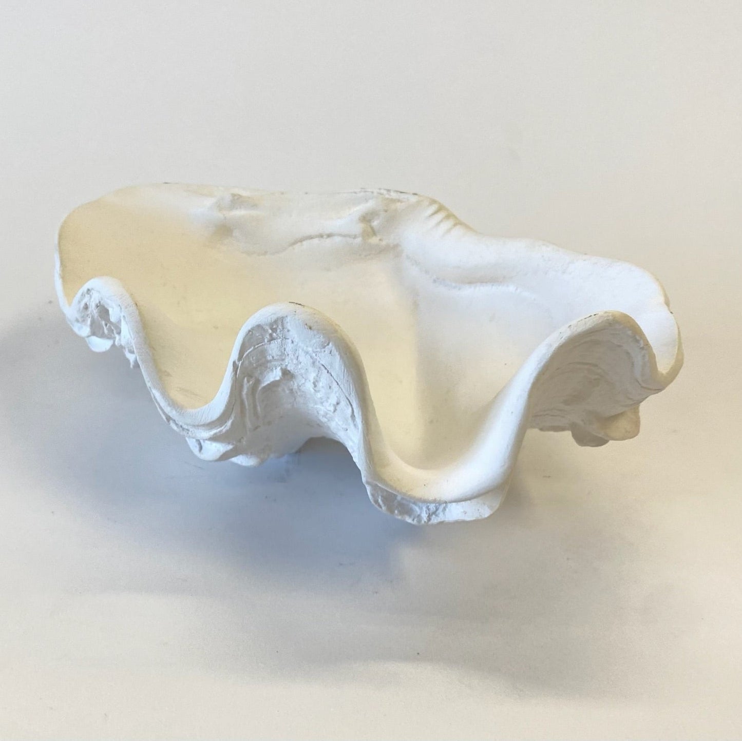 Mini Clam Shell