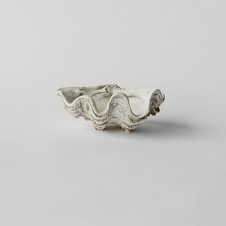 Mini Clam Shell