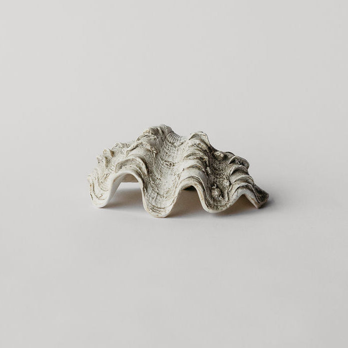 Mini Clam Shell