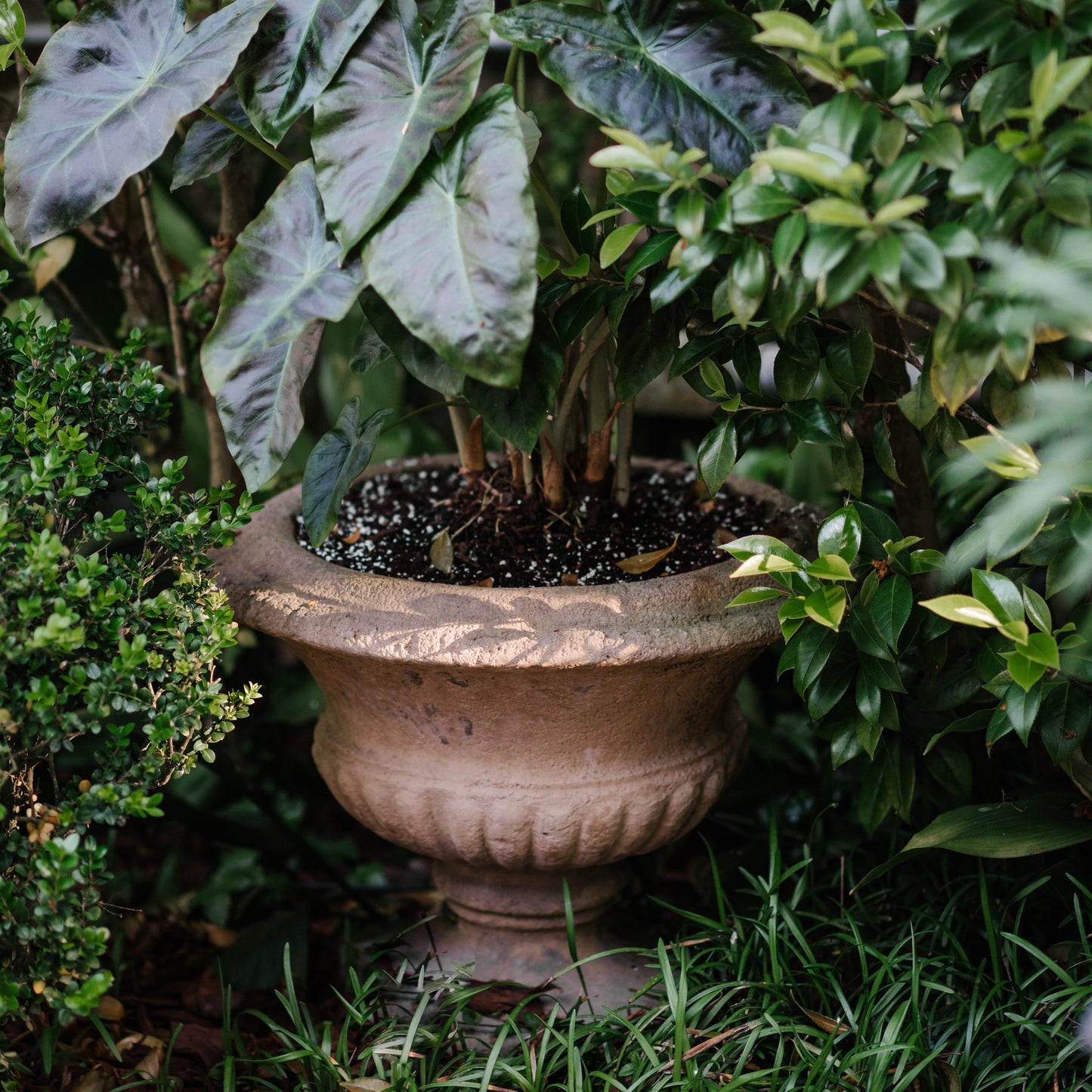 Somerset Urn