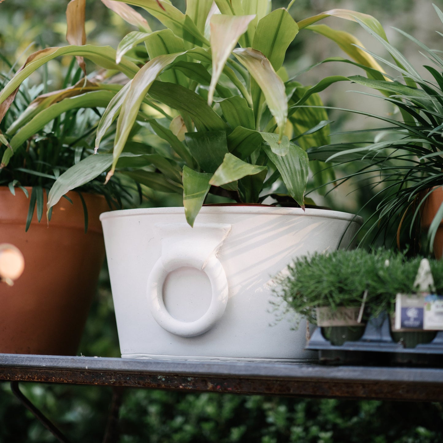 Etruscan Planter