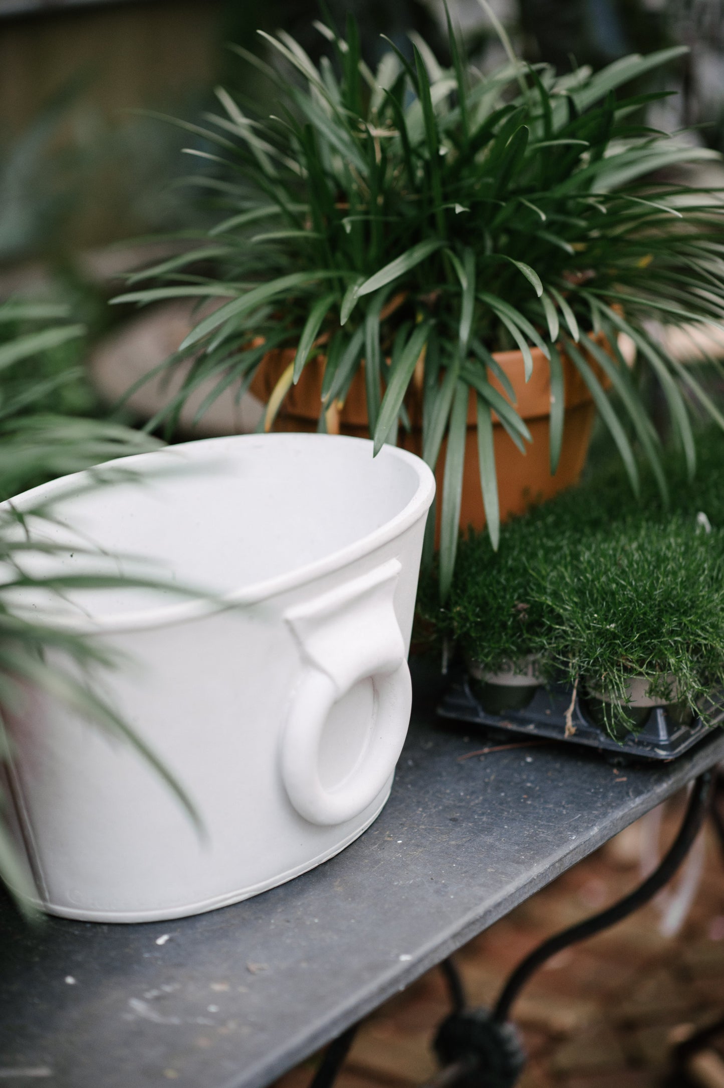 Etruscan Planter