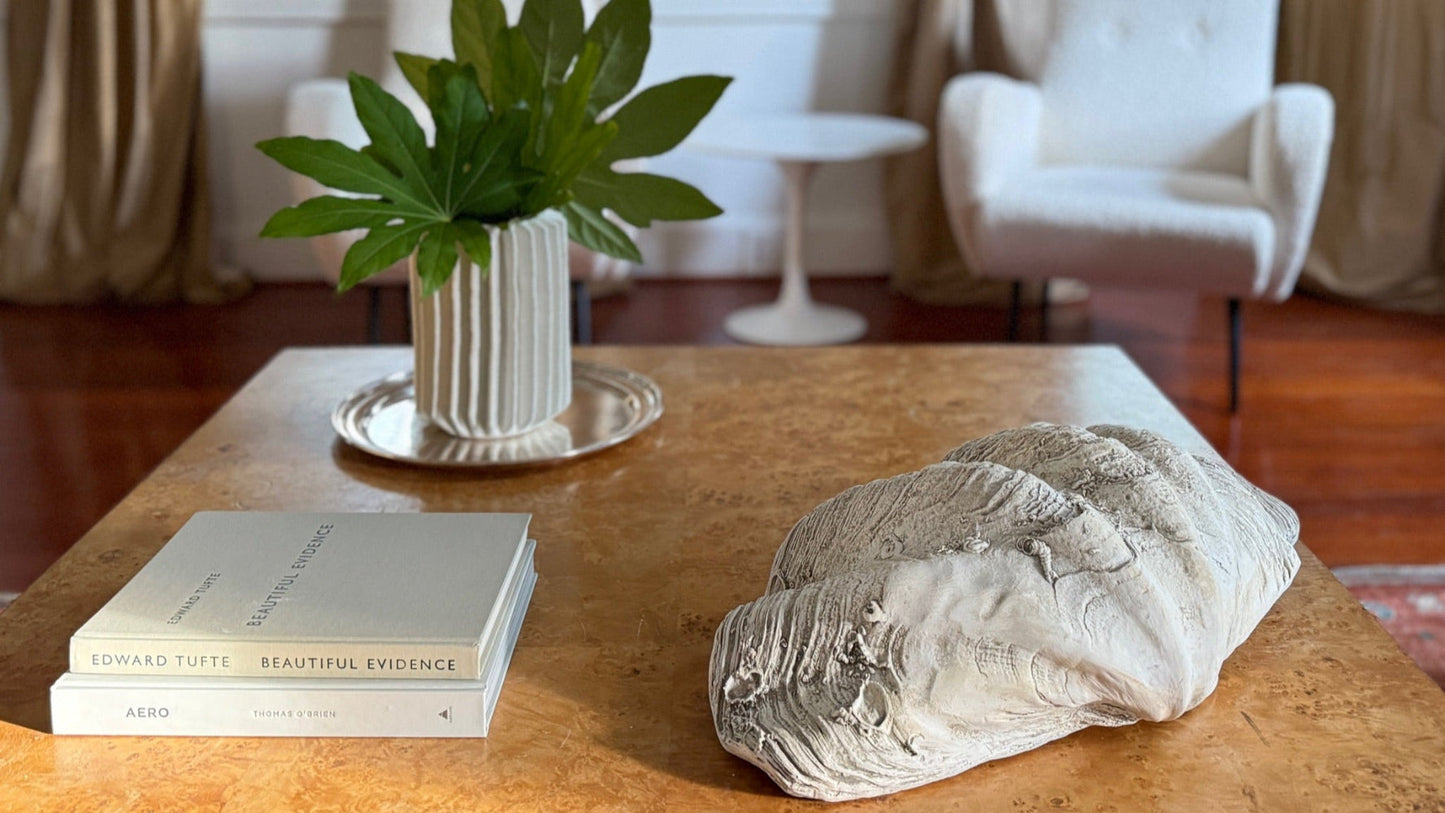 South Pacific Clam Shell