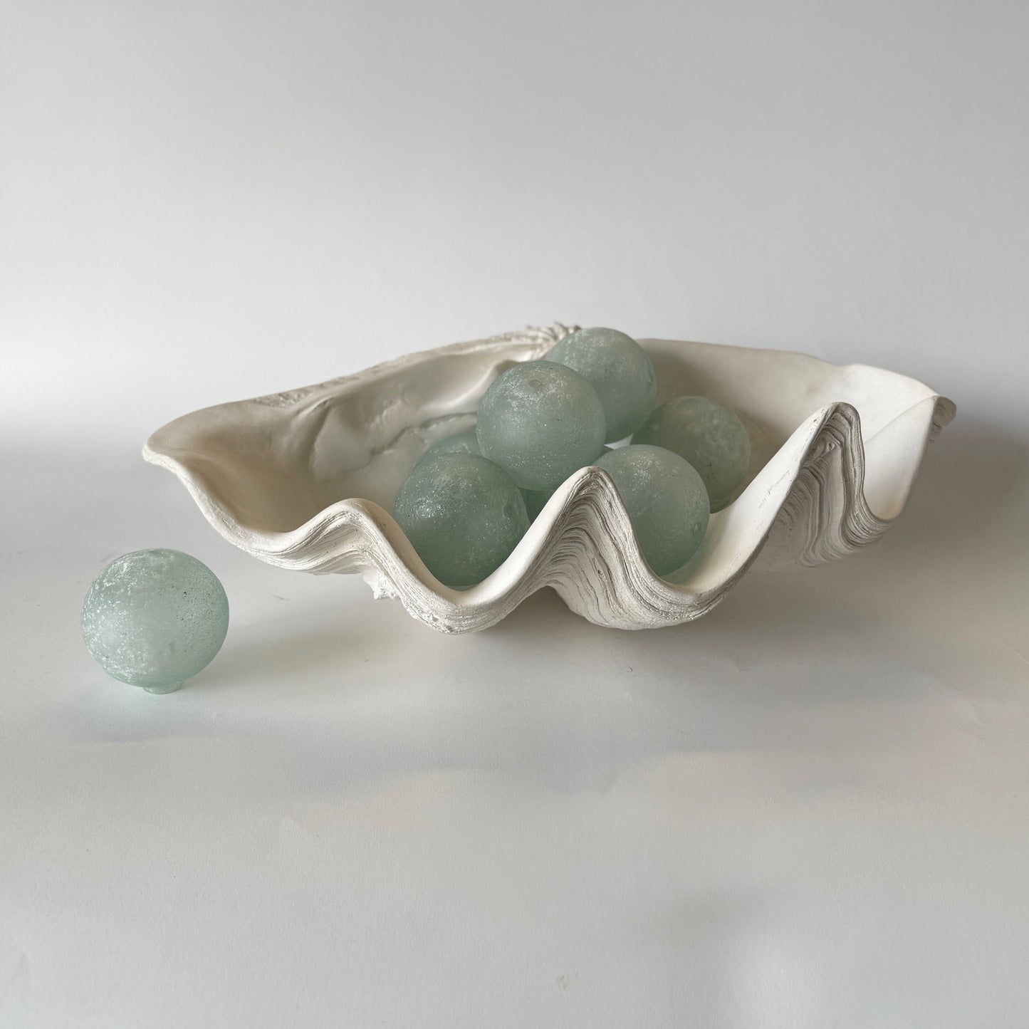 South Pacific Clam Shell