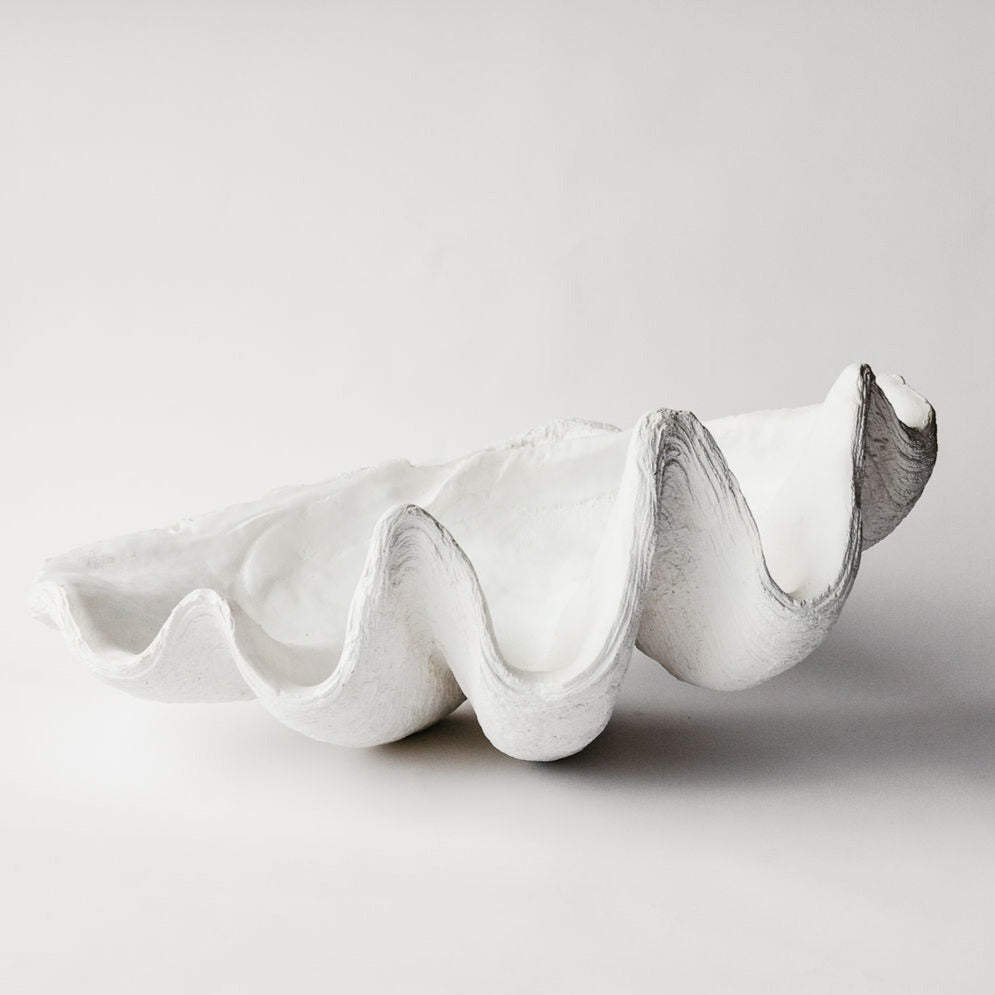 Giant Clam Shell