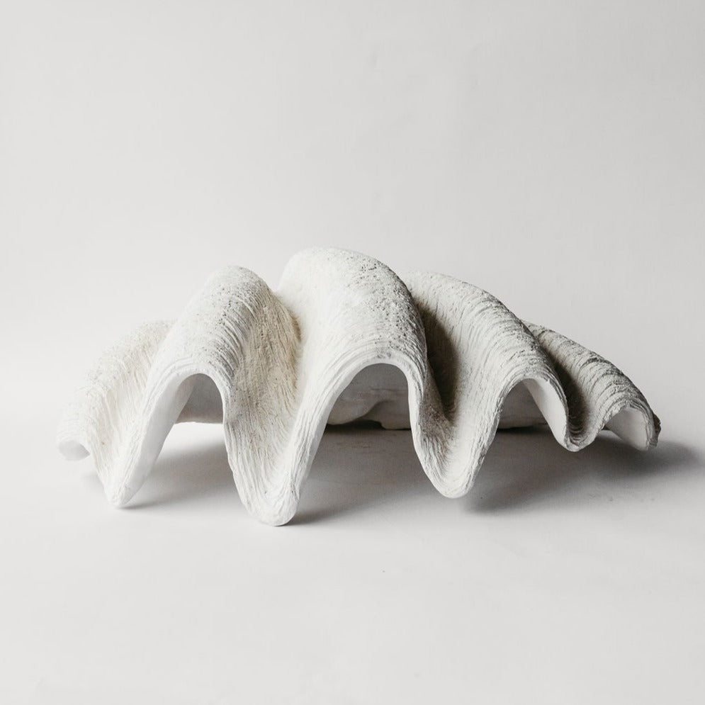 Giant Clam Shell