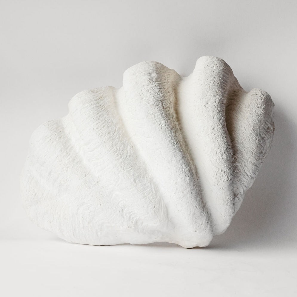 Giant Clam Shell