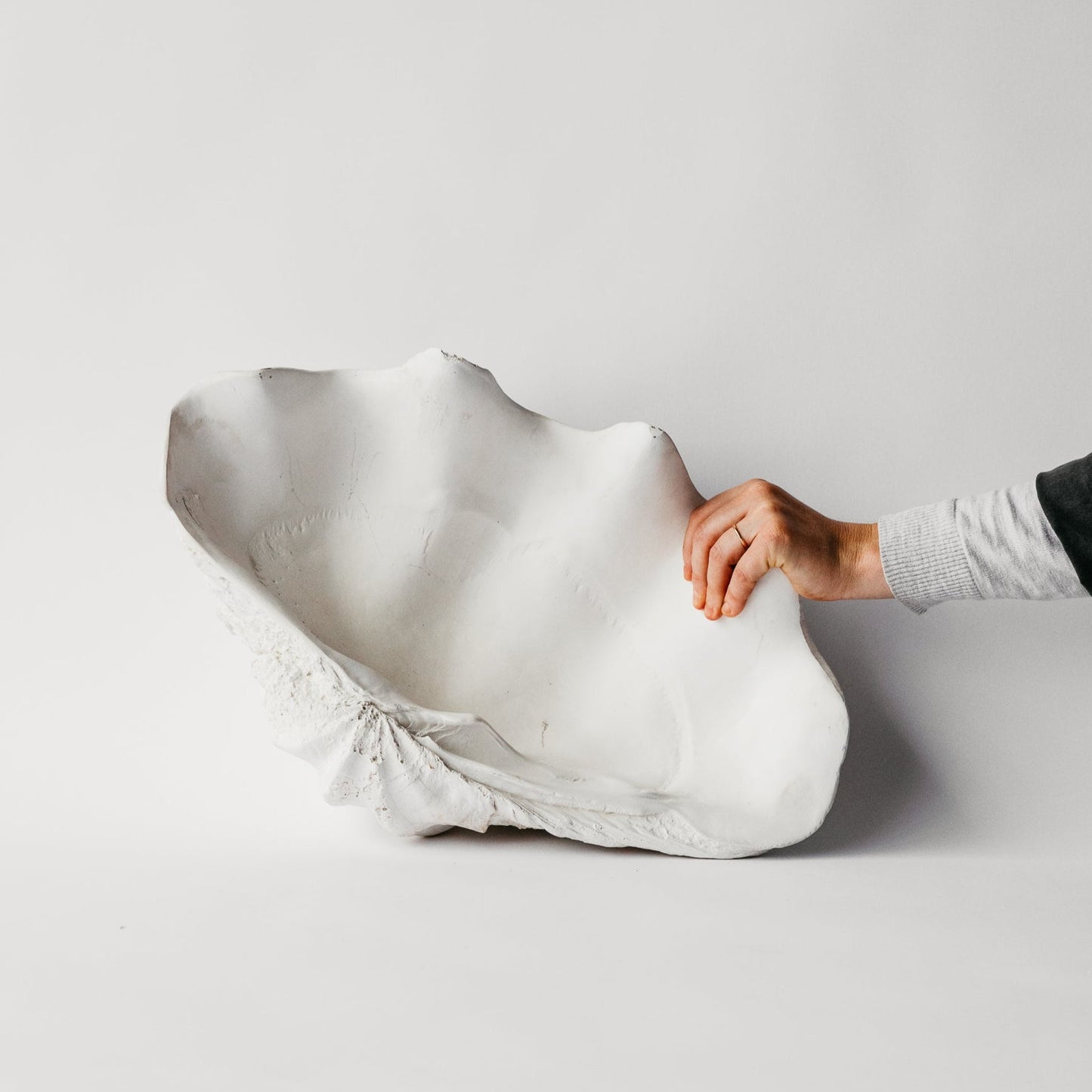 South Pacific Clam Shell