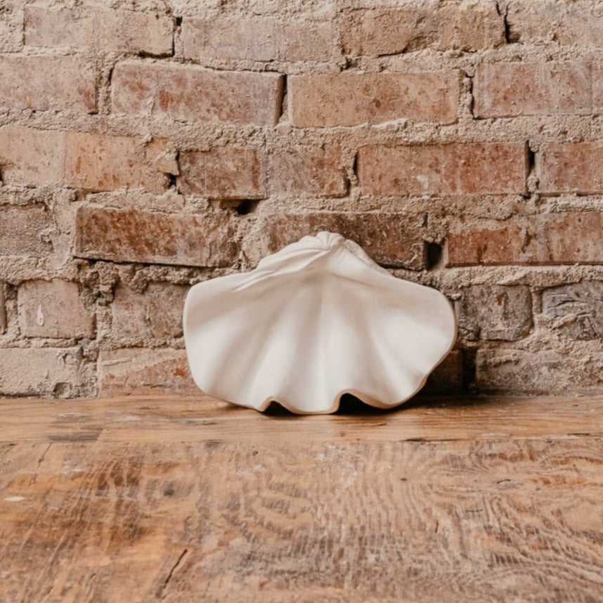 Small Clam Shell
